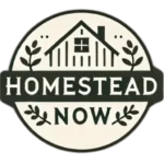 Homestead Now cream logo